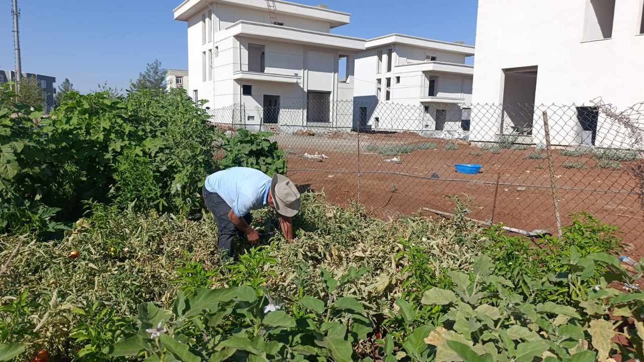 Diyarbakirda Sokak Hayvanlari Icin Ilginc Girisim1