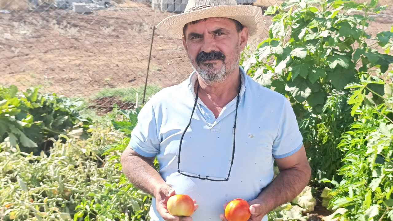 Diyarbakirda Sokak Hayvanlari Icin Ilginc Girisim6