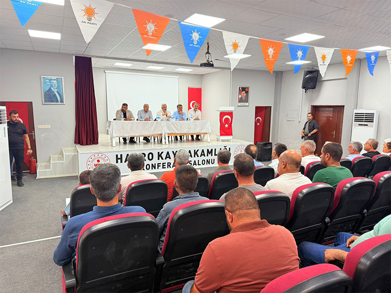 Foto3-1