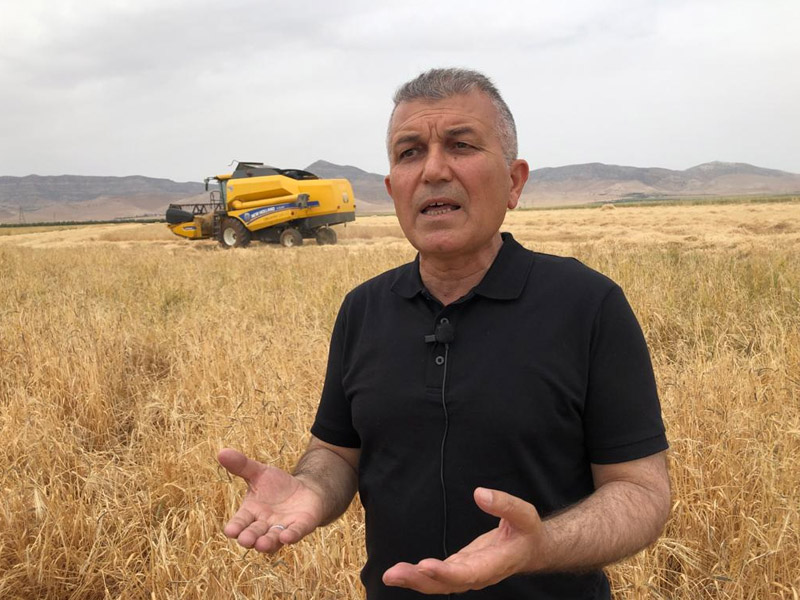 Mardin Ovası Kuruyor2