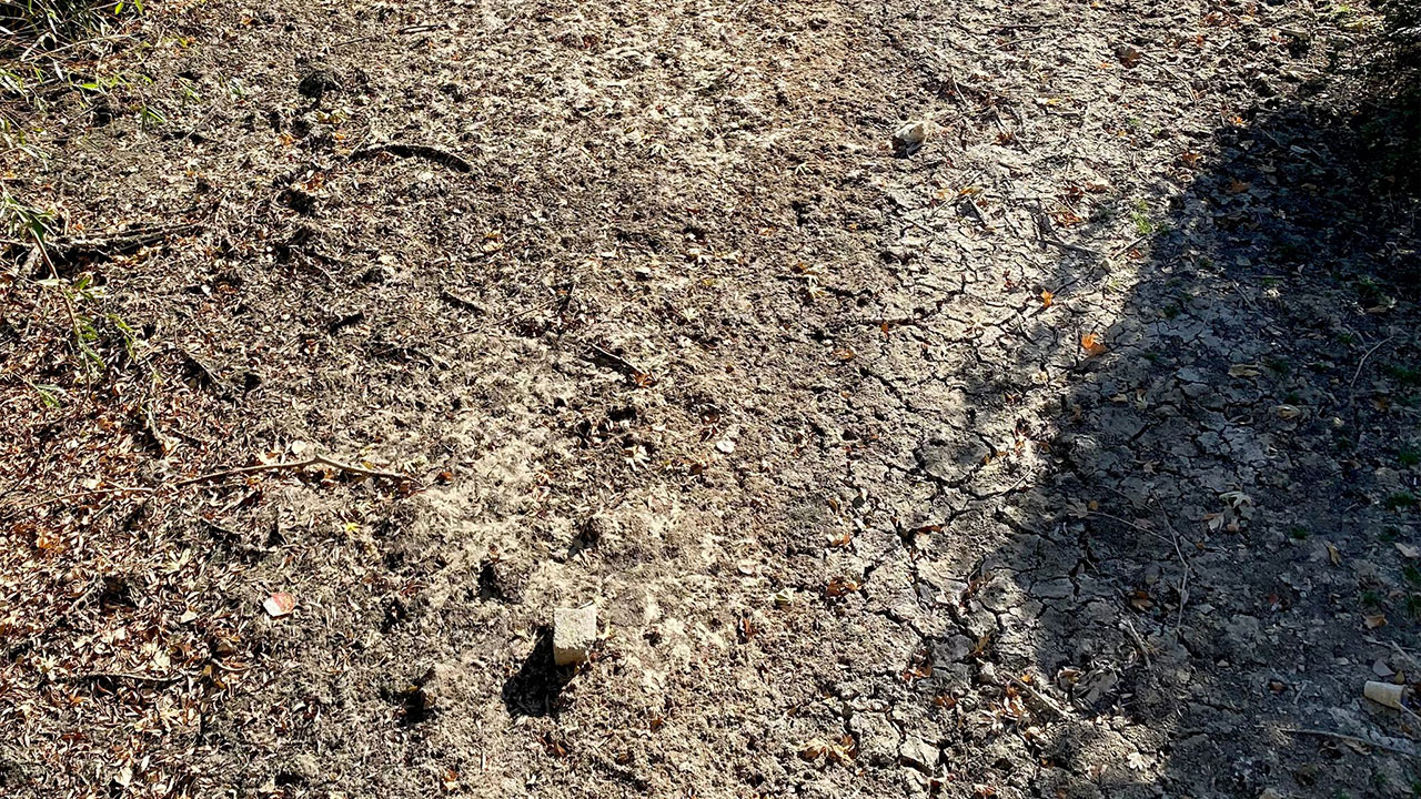 Mardinde Tehlike Buyuyor Koyluler Tedirgin 1