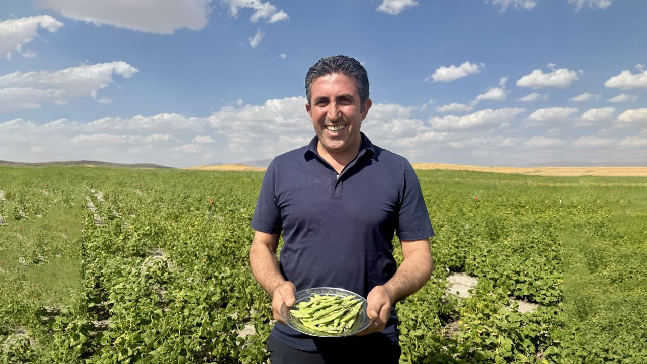 Yüksek Verimli Fasulye Ağrı'da2