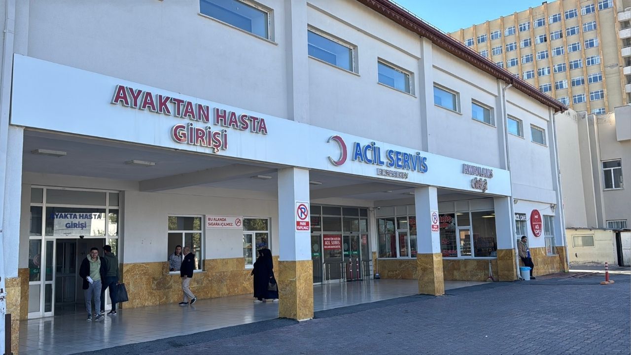 Ayi Saldirisi
