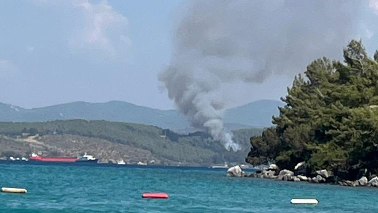 Bodrum’da Orman Yangını Başladı