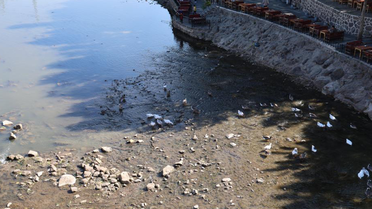 Dicle Nehri1