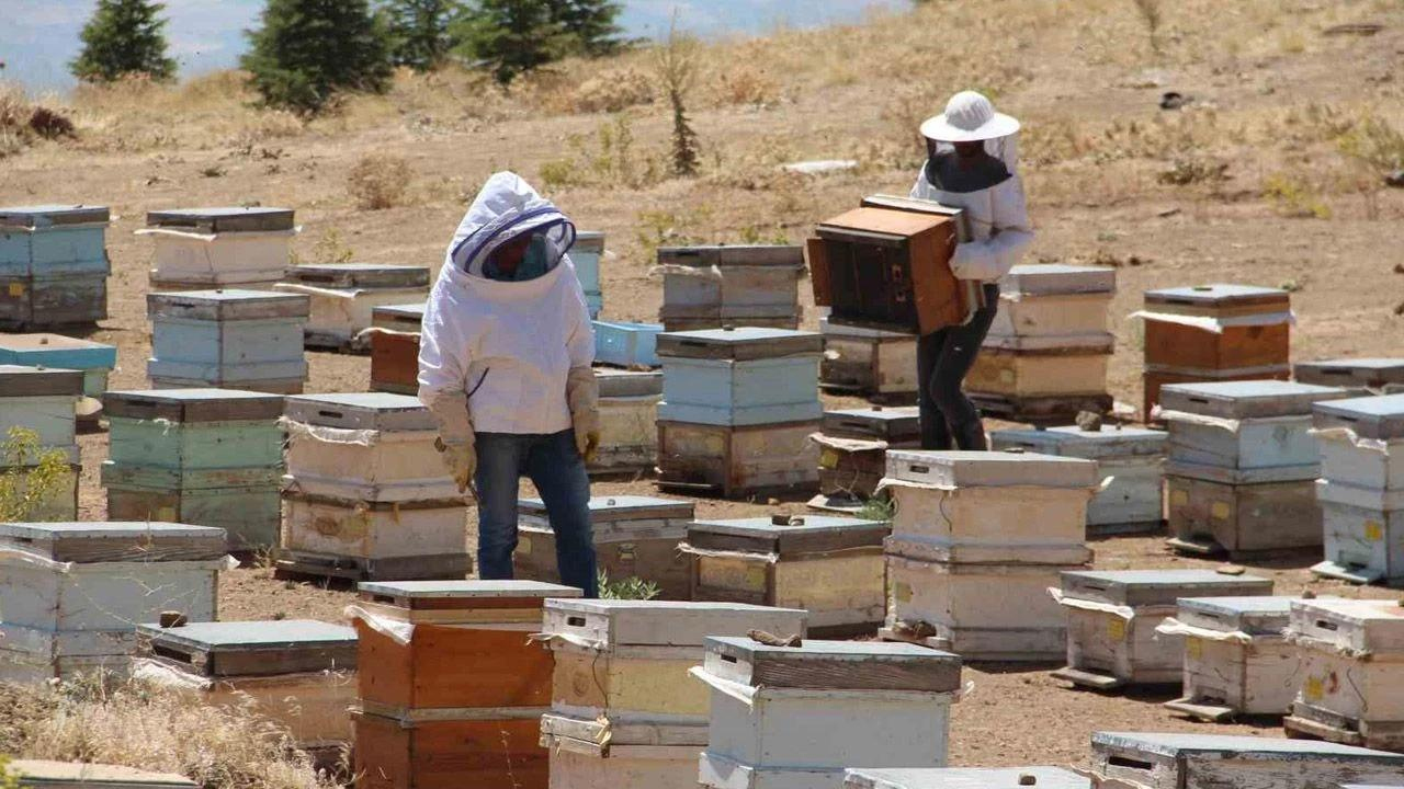 Diyarbakır Balında Yüzde 30 Düşüş Yaşandı4