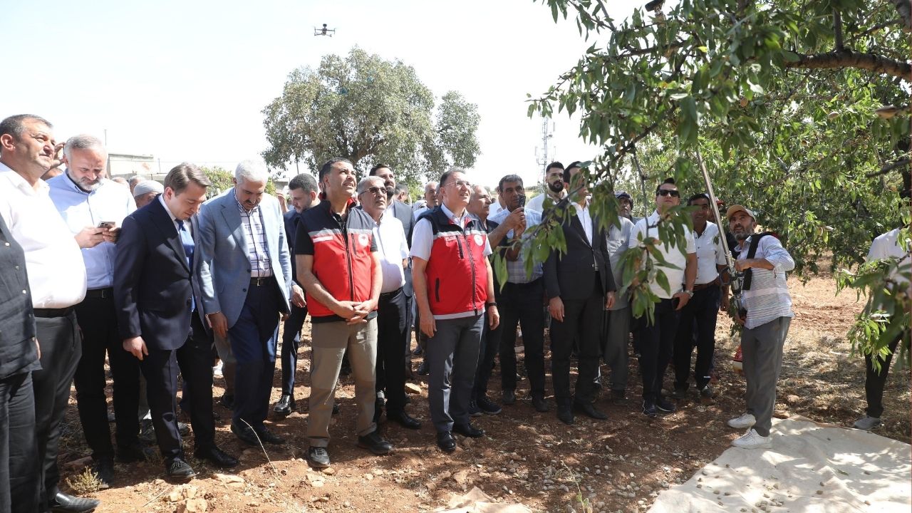 Diyarbakir Egil Badem2