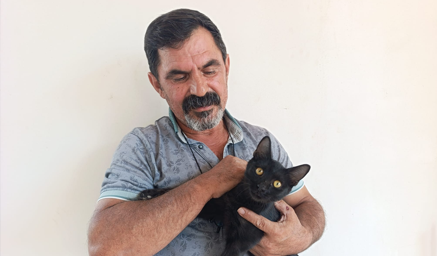Diyarbakir Hayvan