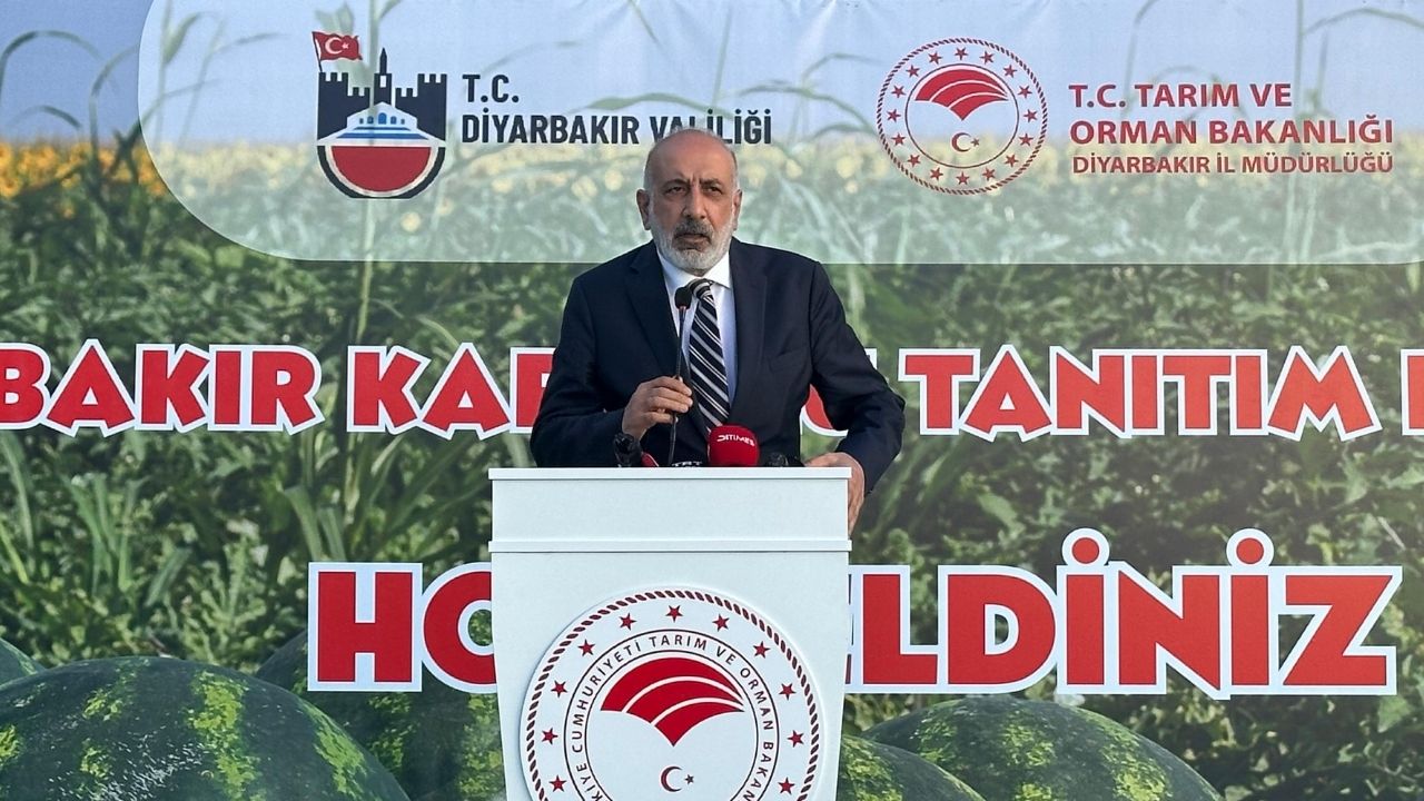 Diyarbakir Karpuz Mehmet Kaya