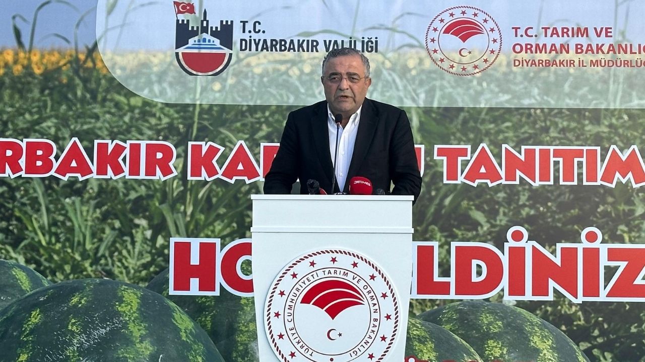 Diyarbakir Karpuz Sezgin Tanrikulu