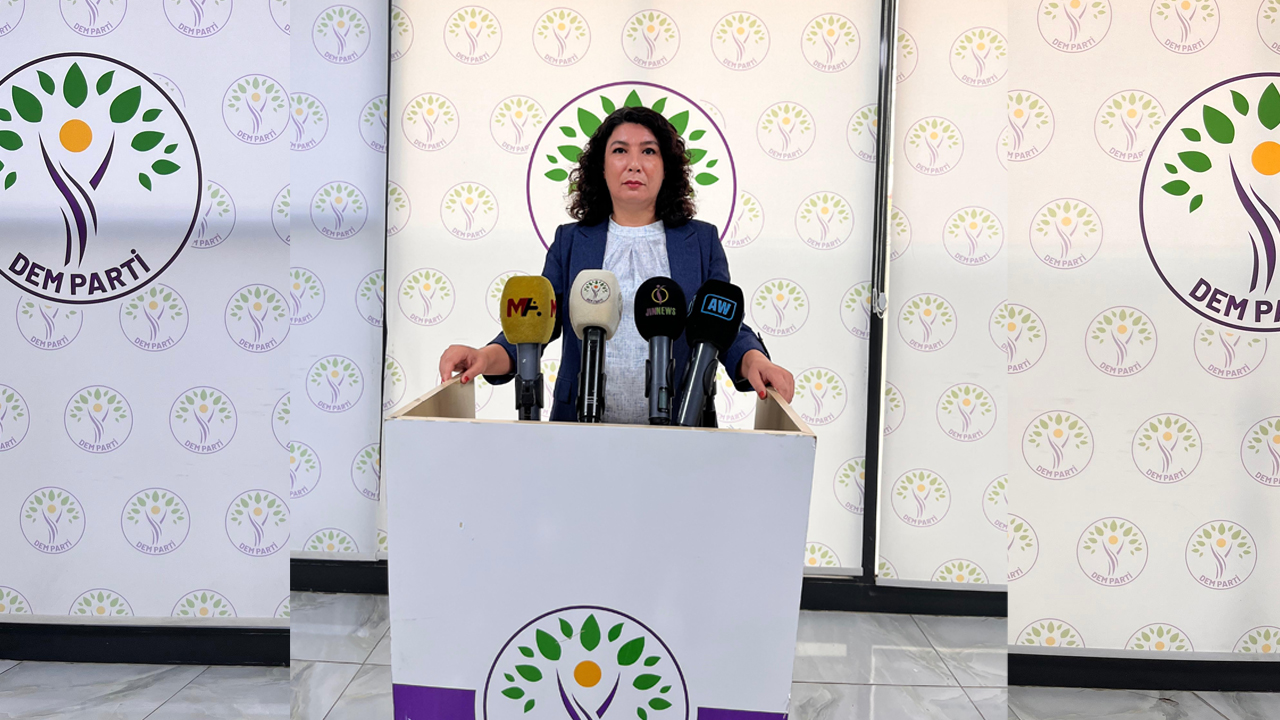 Diyarbakır Vekilinden Sert Açıklamalar2