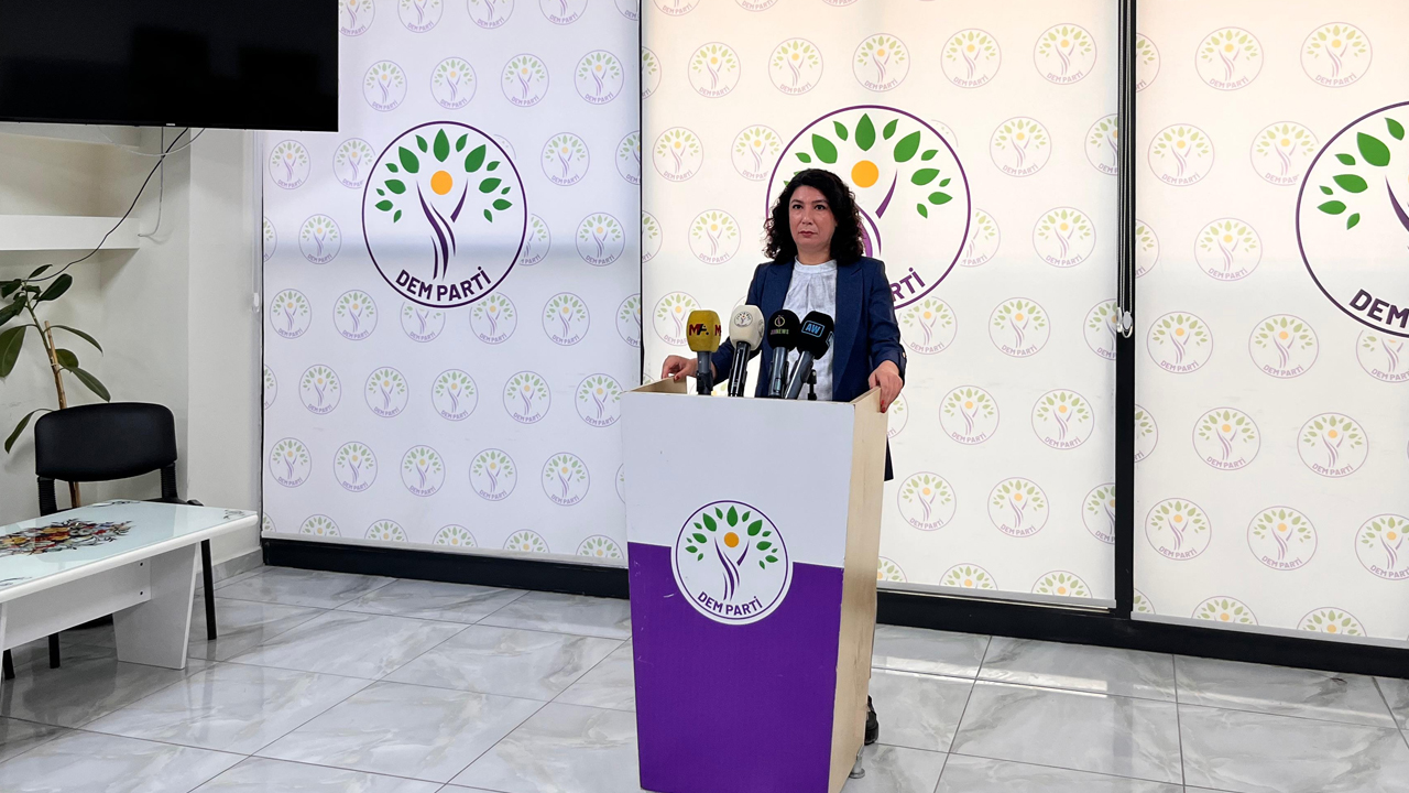 Diyarbakır Vekilinden Sert Açıklamalar3