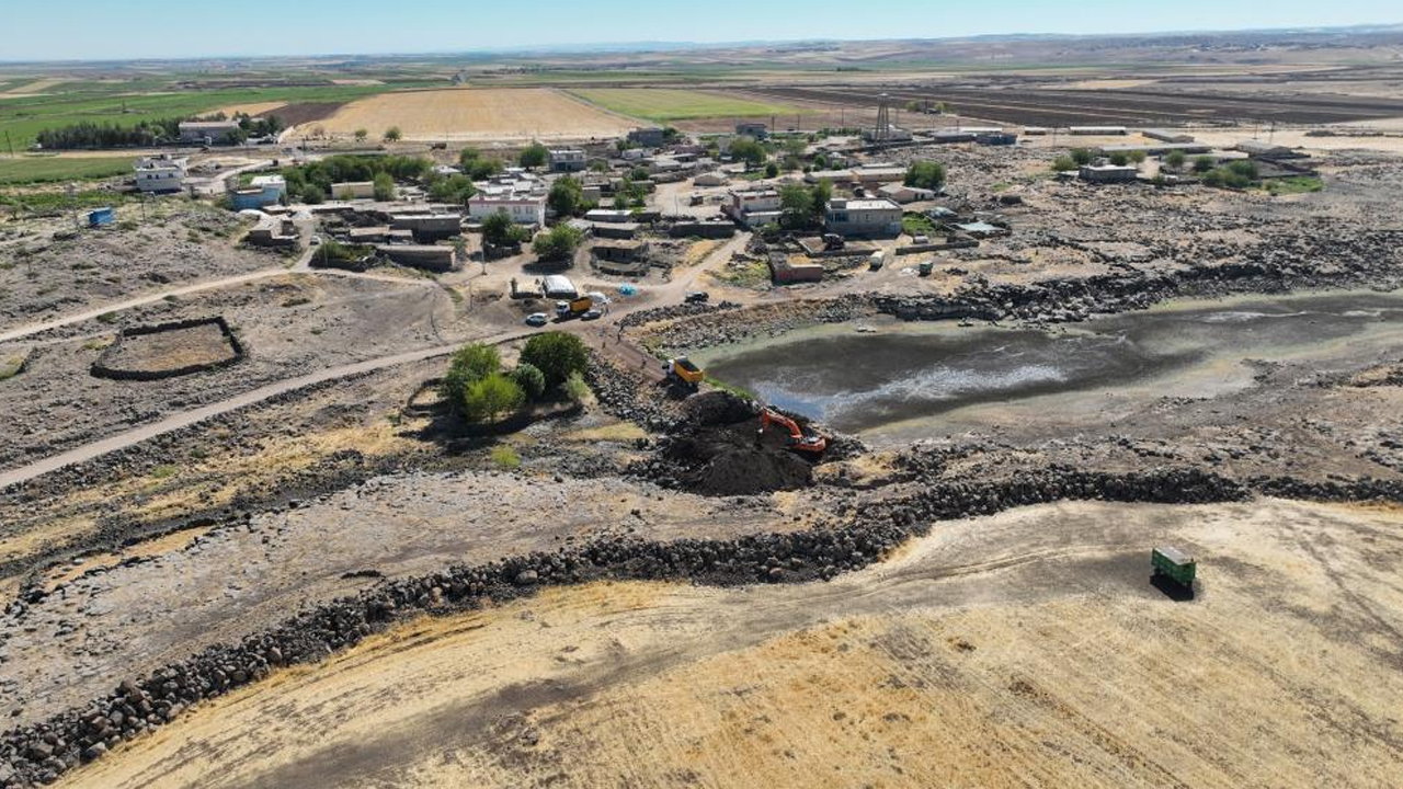 Diyarbakır'da 6 Bin Hayvanı Kurtaracak Proje2