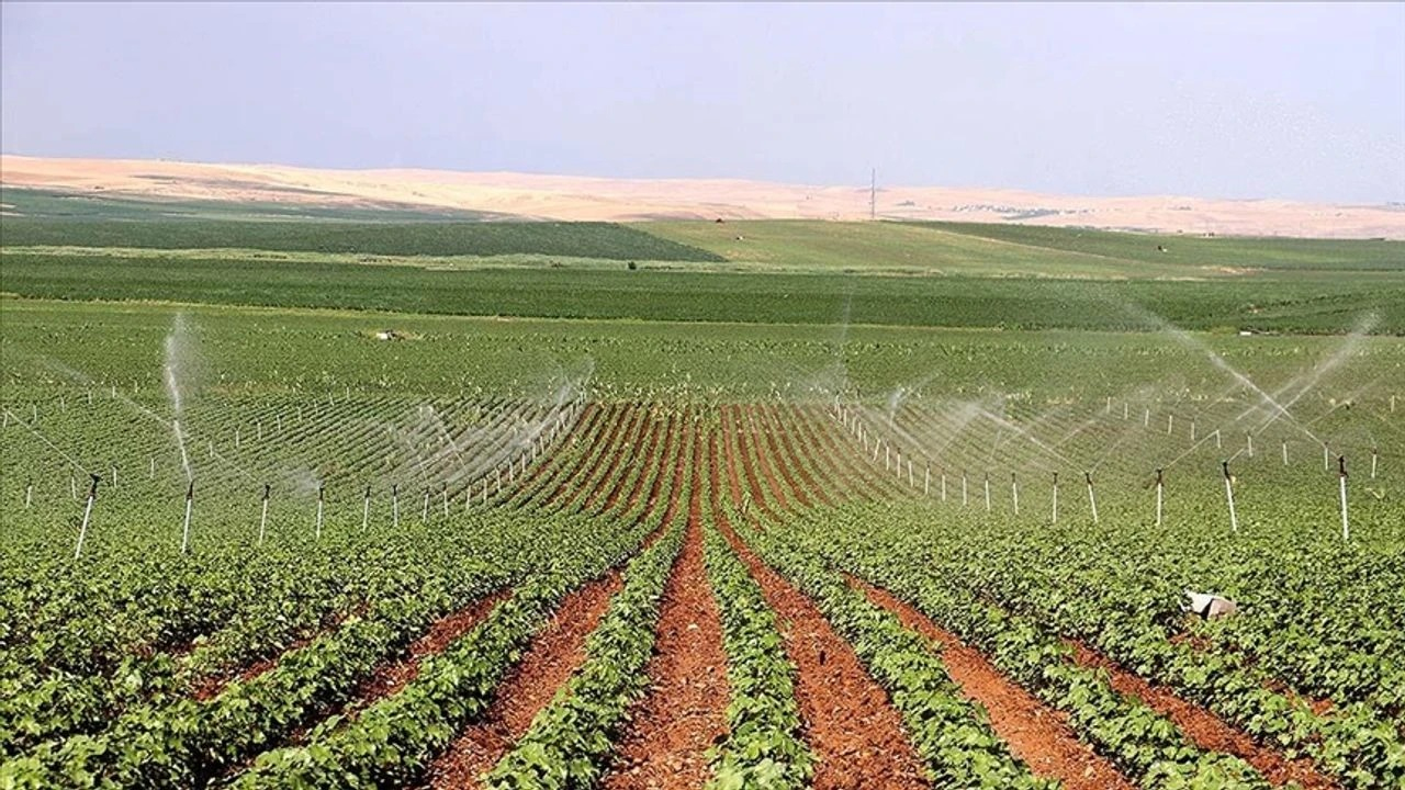 Diyarbakır'da Çiftçilerde Gözaltı Endişesi!2