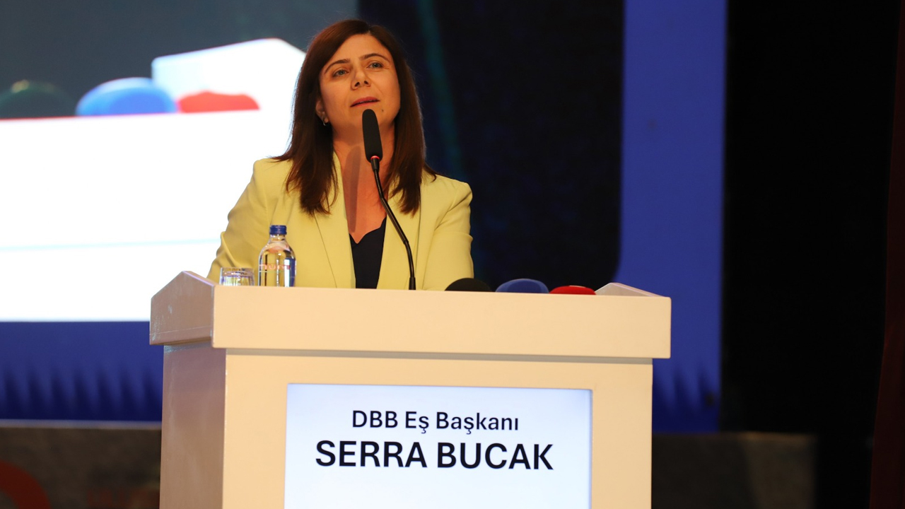 Diyarbakır’da Uluslararası Organizasyon4