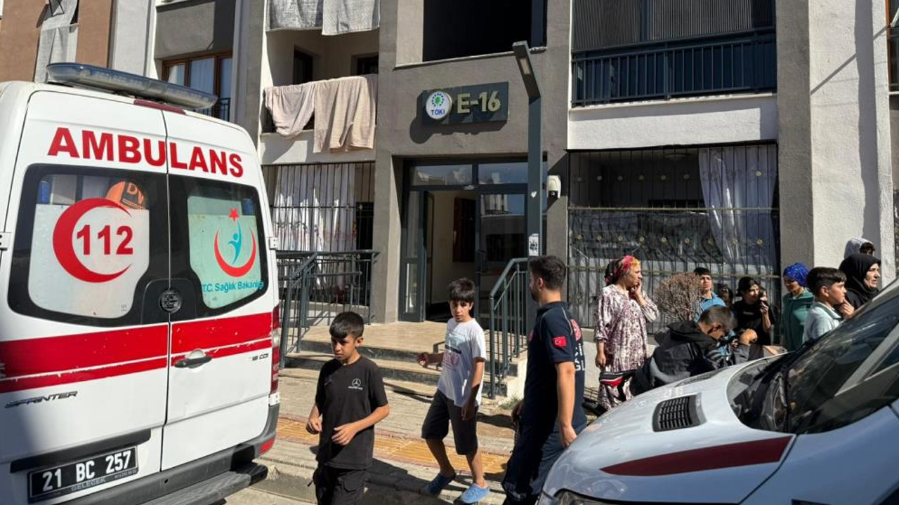 Diyarbakır'da Yangın3