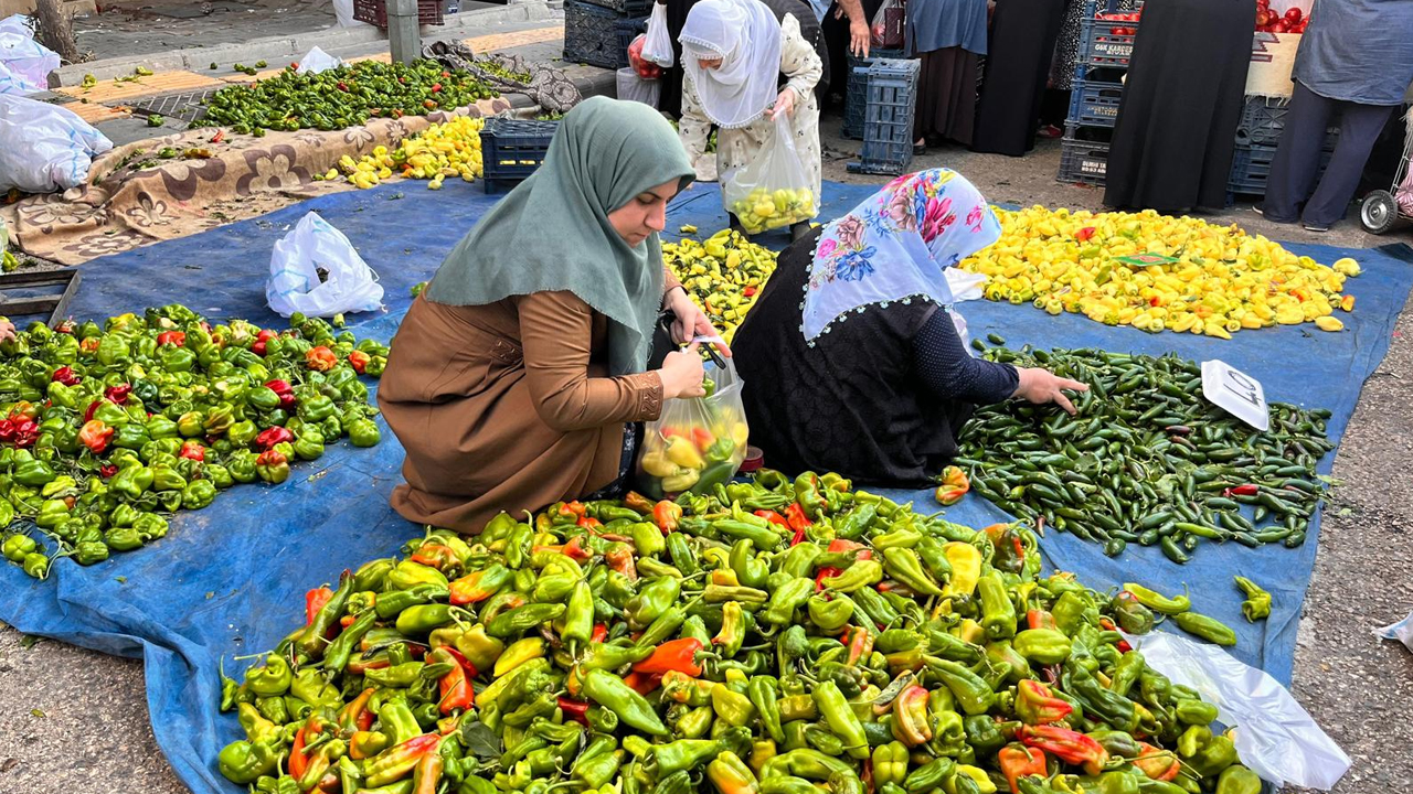 Diyarbakır'daki Semt Pazarında Fiyatlar Nasıl5