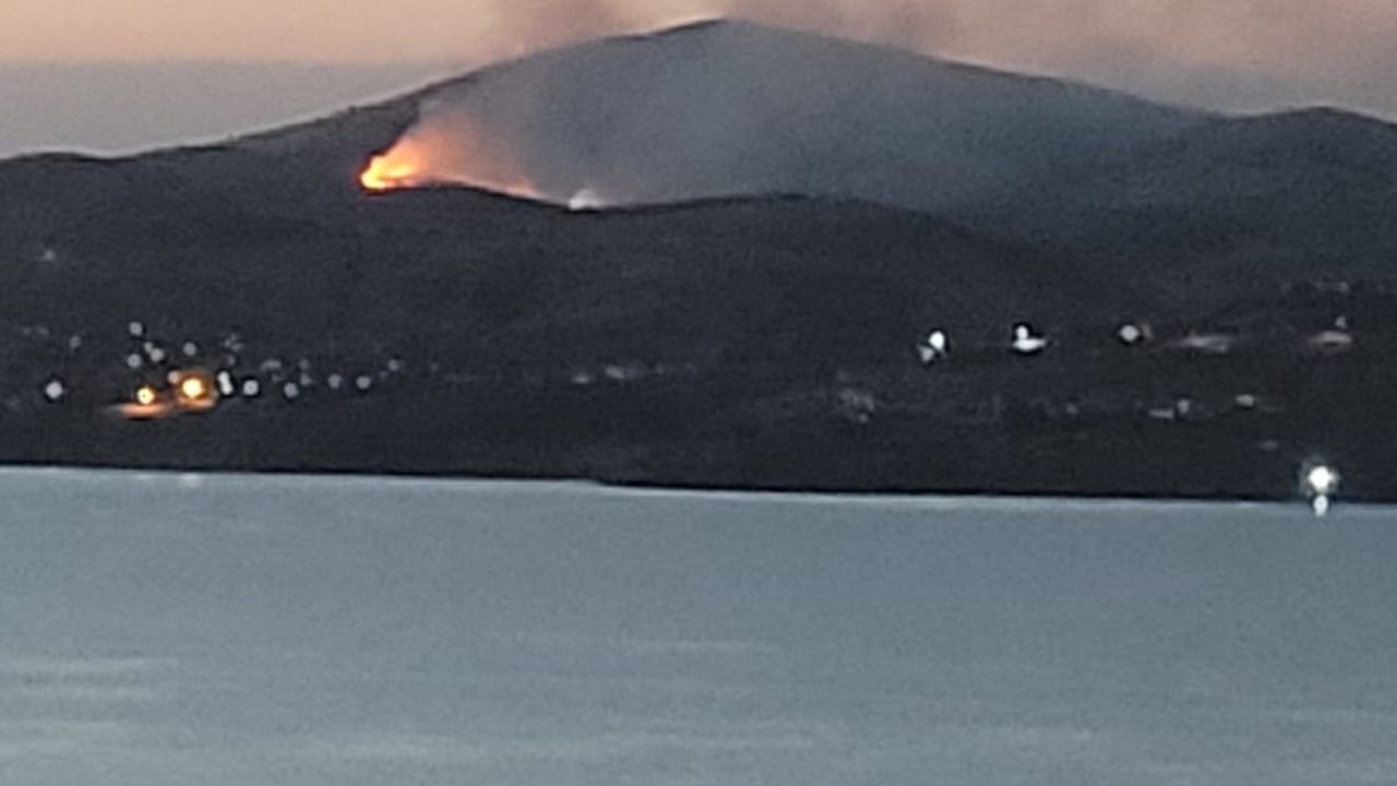 Hazar Orman Yangini1
