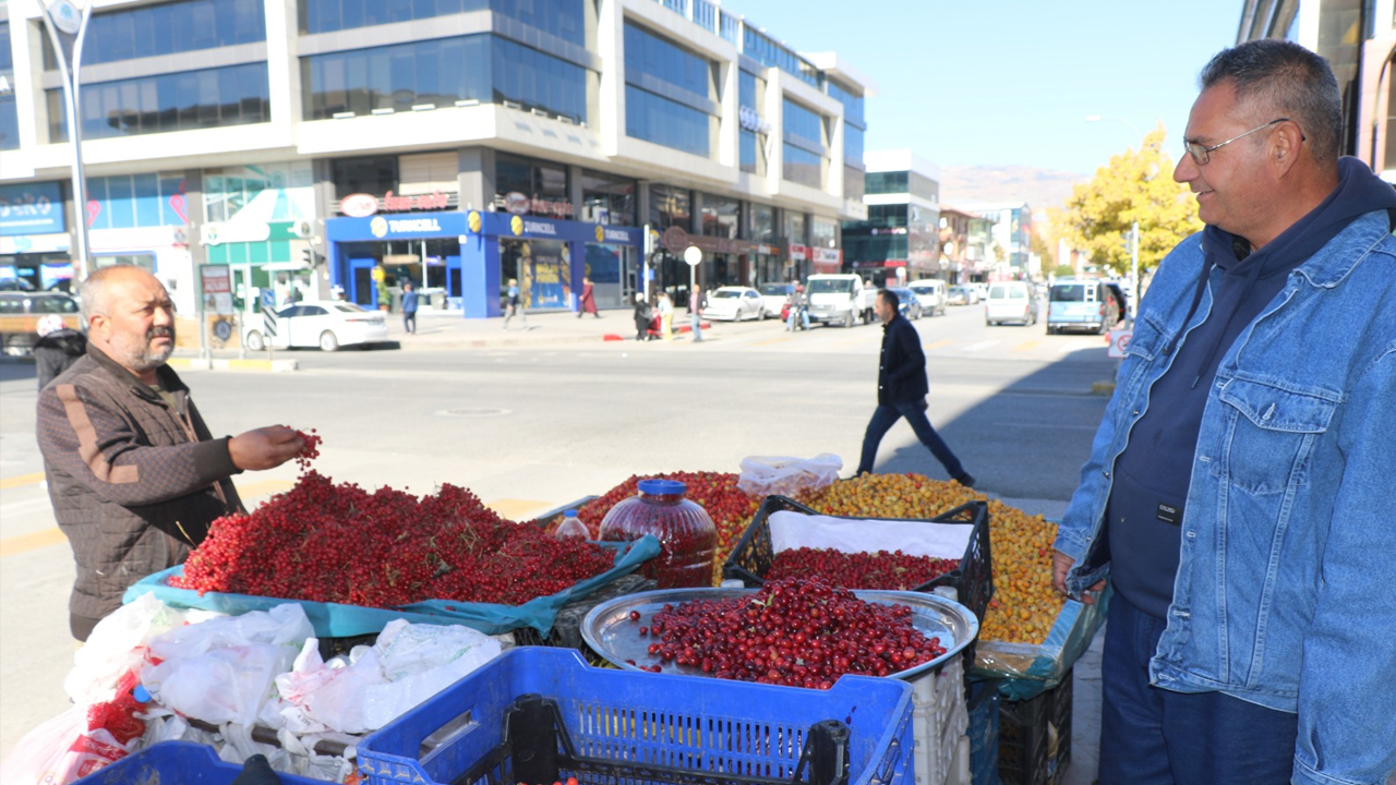 Dağ Bitkileriyle Şehirde Şifa Dağıtıyor