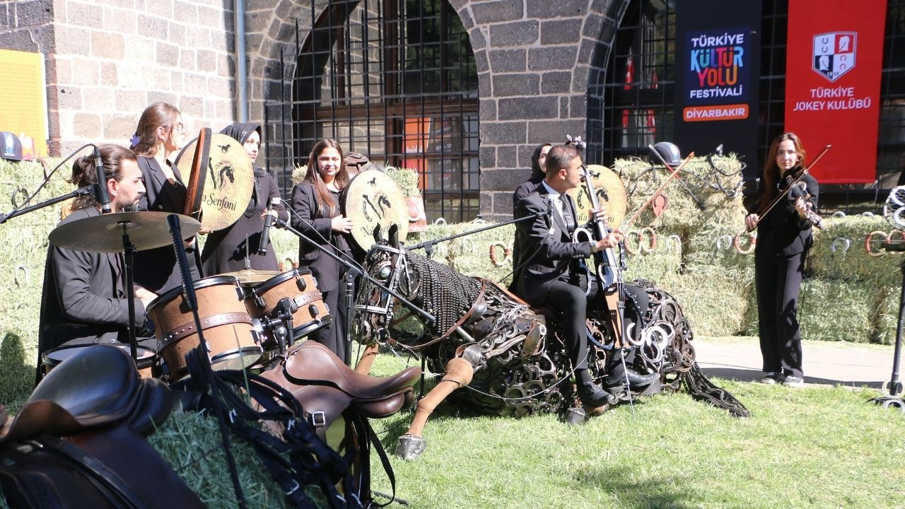 Diyarbakir At Nali Projesi