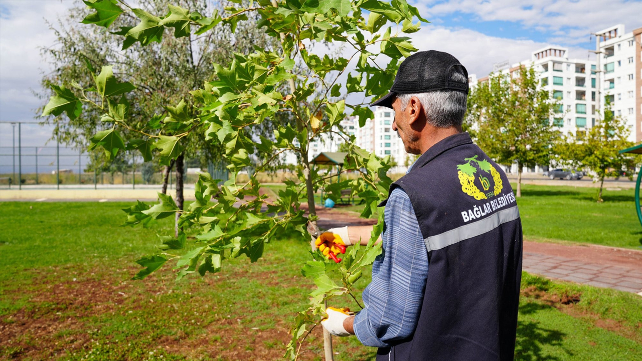 Diyarbakır Bağlar Yeşilleniyor