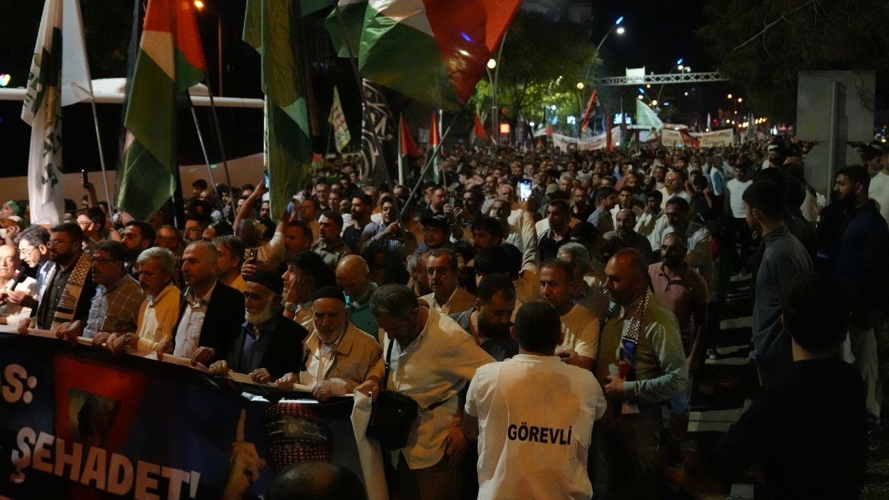 Diyarbakir Gazze Yuruyus 1