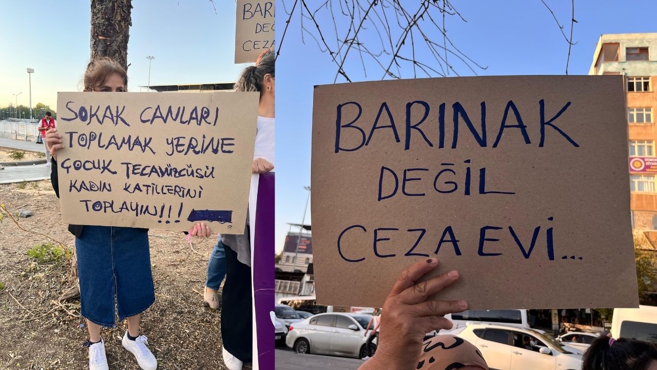 Diyarbakir Hayvan Haklari Yuruyus 2