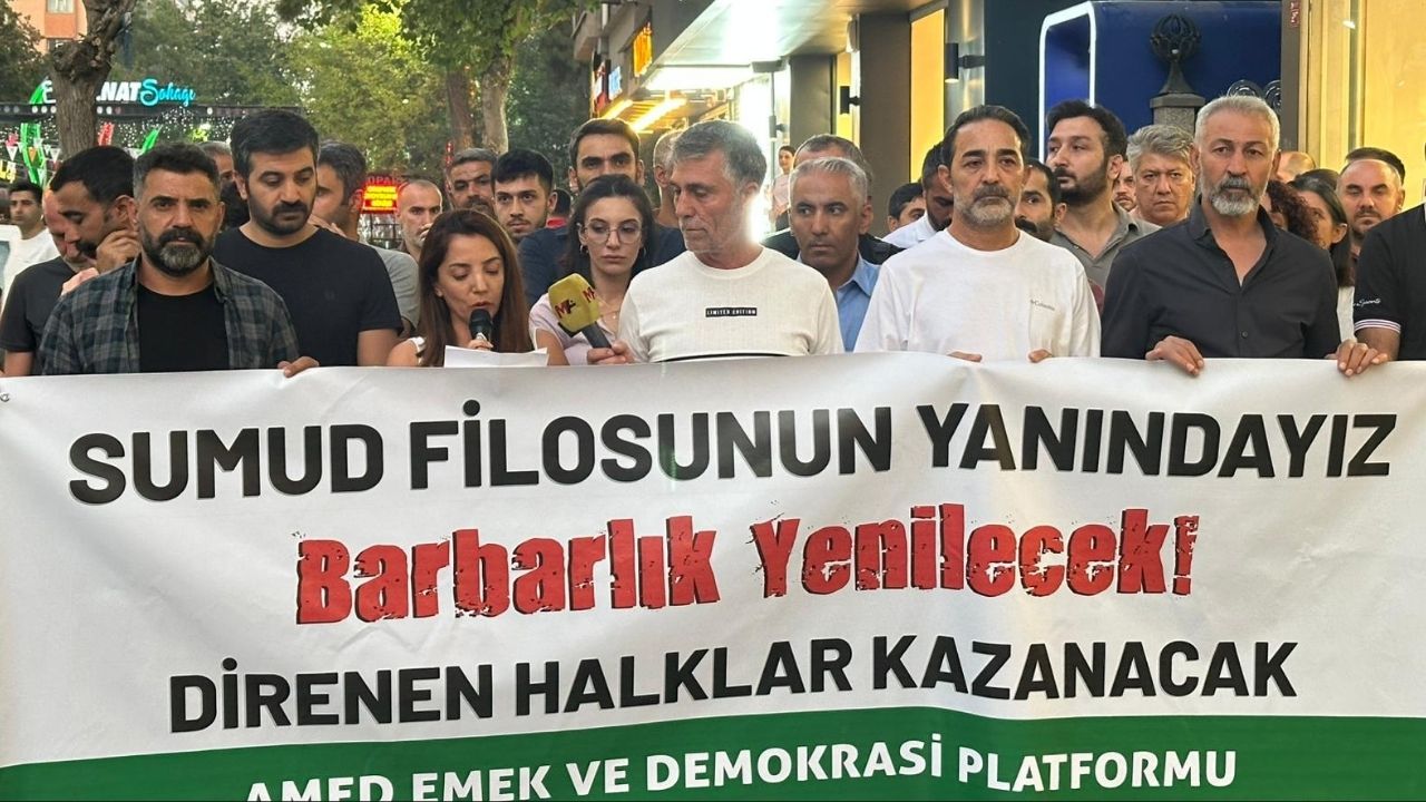 Diyarbakir Protesto 1