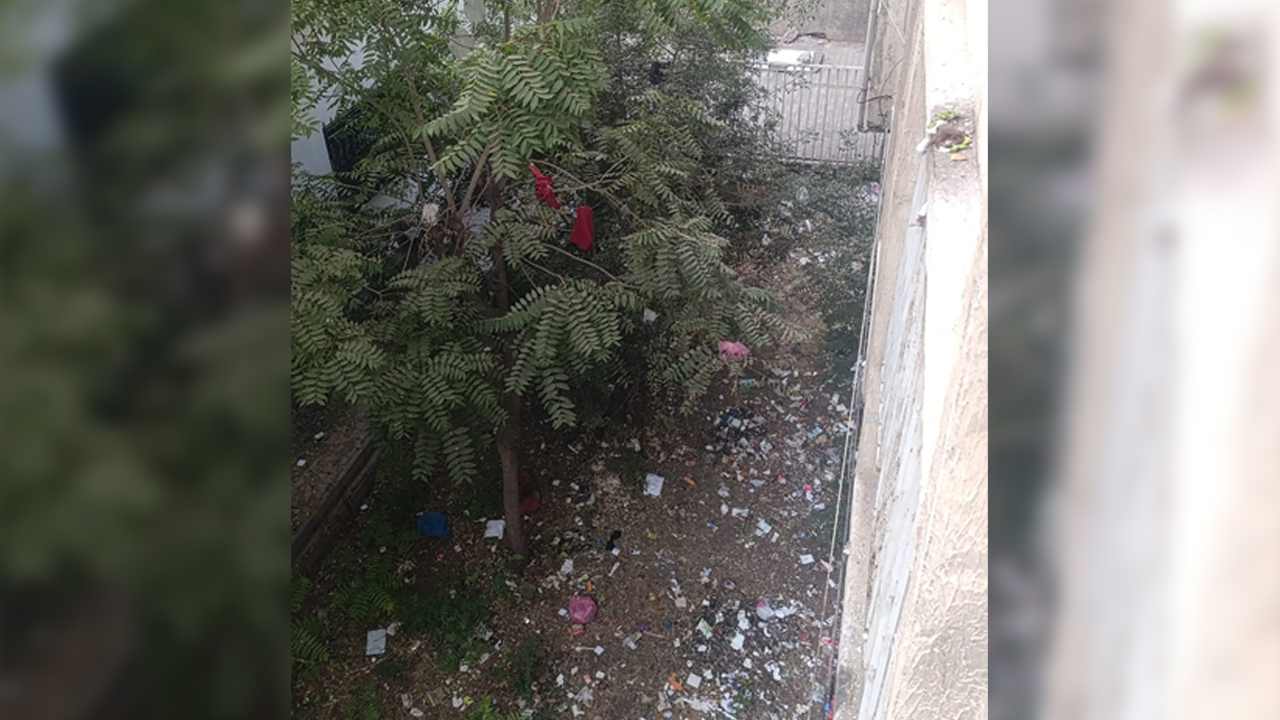 Diyarbakır’da Ağaçlar Çöp Açtı!3