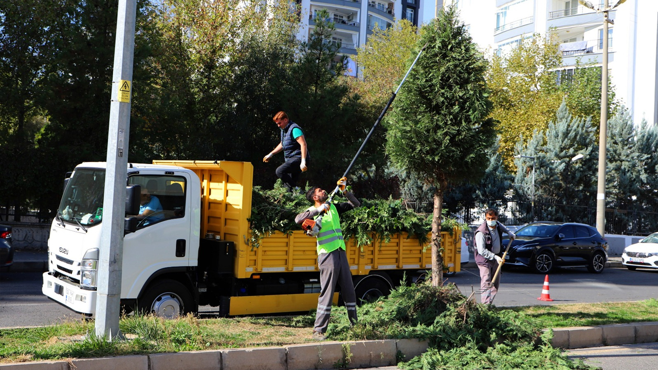 Diyarbakır’da Ekipler Budama Seferberliğinde1