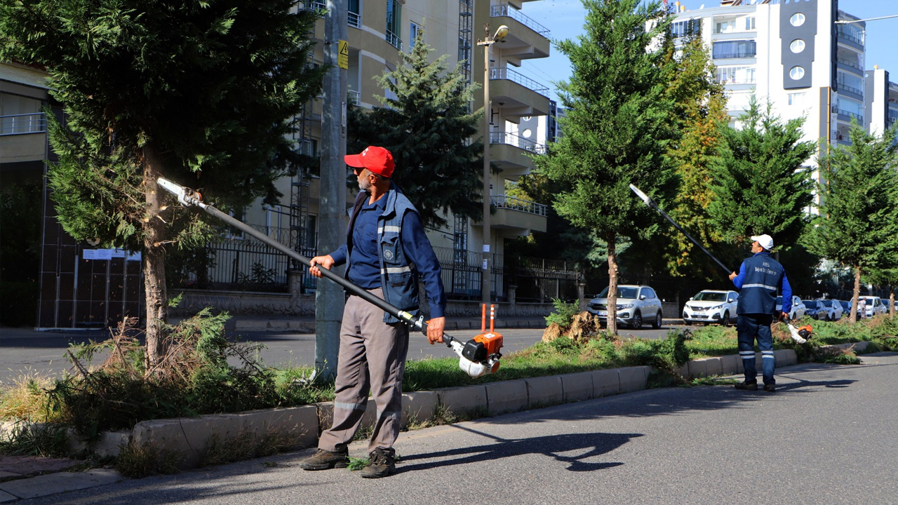 Diyarbakır’da Ekipler Budama Seferberliğinde2