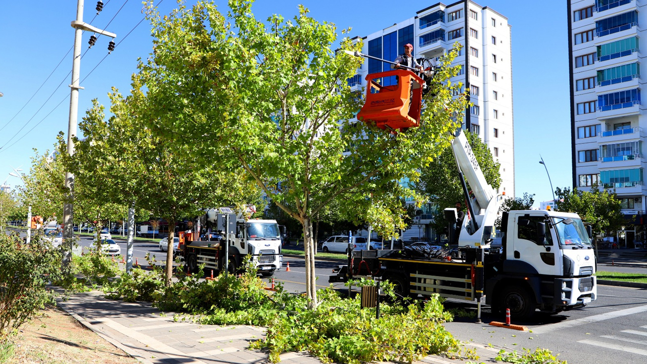 Diyarbakır’da Ekipler Budama Seferberliğinde3