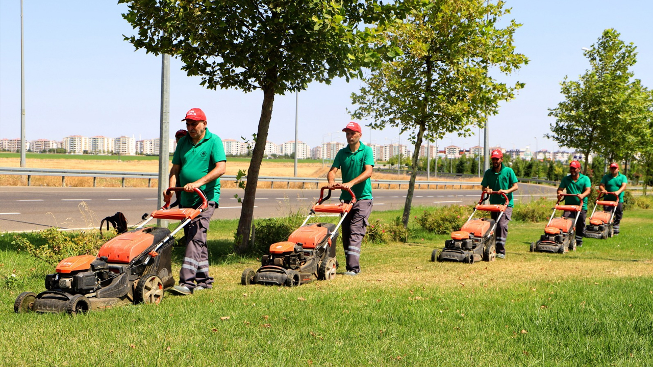 Diyarbakır’da Ekipler Budama Seferberliğinde4