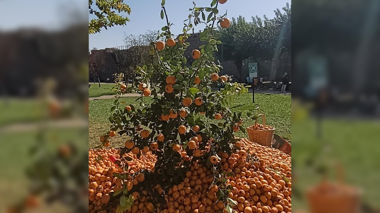 Diyarbakır'da Faydaları Saymakla Bitmeyen Meyve Tezgahlarda
