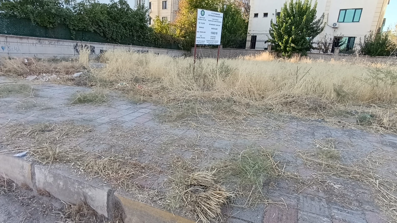Diyarbakır’da Ilginç Manzara4