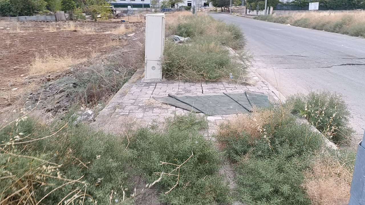 Diyarbakır’ın Göbeğinde Dikenli Otlar Kaldırımları Yuttu!1