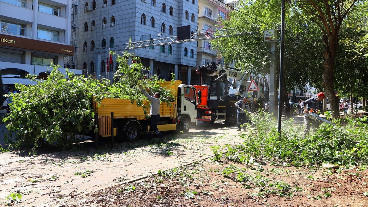 Diyarbakır’ın Tarihi Sur İlçesi’nde Çalışma Başladı1
