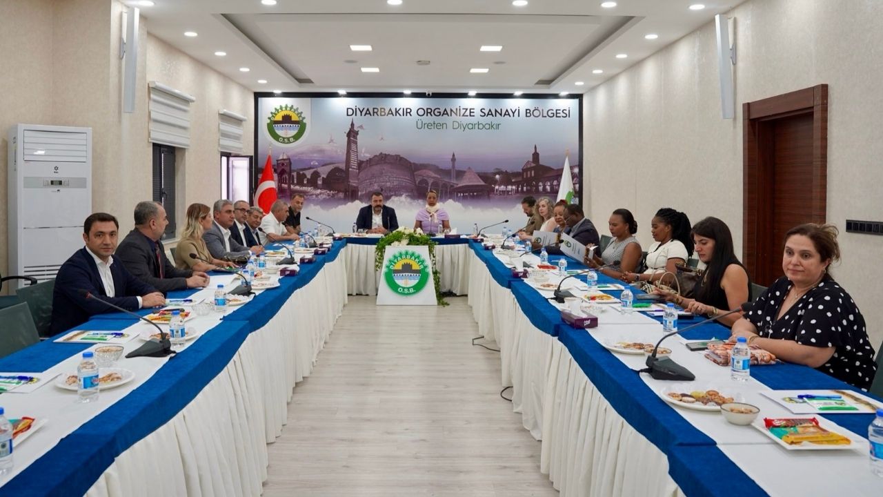 Kongo Diyarbakir Osb 1