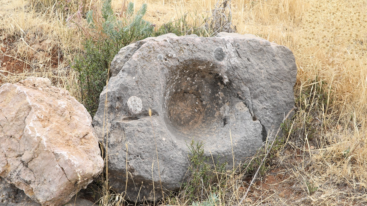 Roma Dönemine Ait 150 Dönümlük Yerleşim Alanı Bulundu