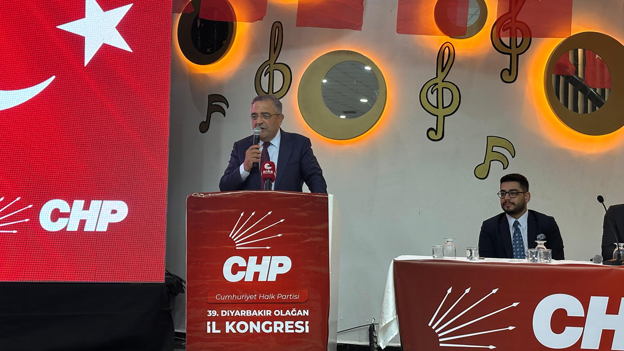 Sezgin Tanrıkulu-13