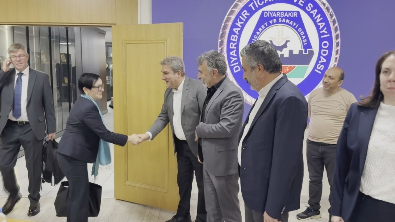 Ab Turkiye Delegasyonu Diyarbakir2