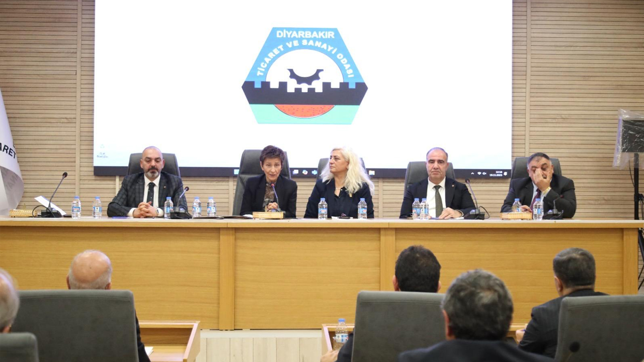 Çözüm Sürecine Destek1