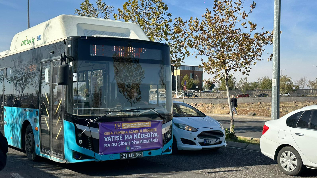 Diyarbakır, Kadına Yönelik Şiddete Karşı Birleşti3