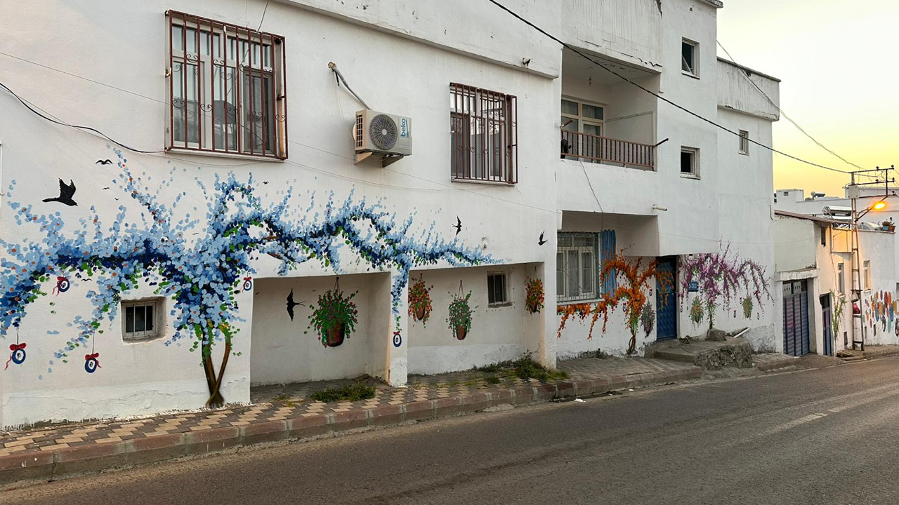 Diyarbakır’da Beyaz Evler Tuvale Döndü, Ilçe Çiçek Açtı2