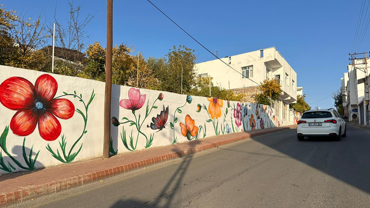 Diyarbakır’da Beyaz Evler Tuvale Döndü, Ilçe Çiçek Açtı5