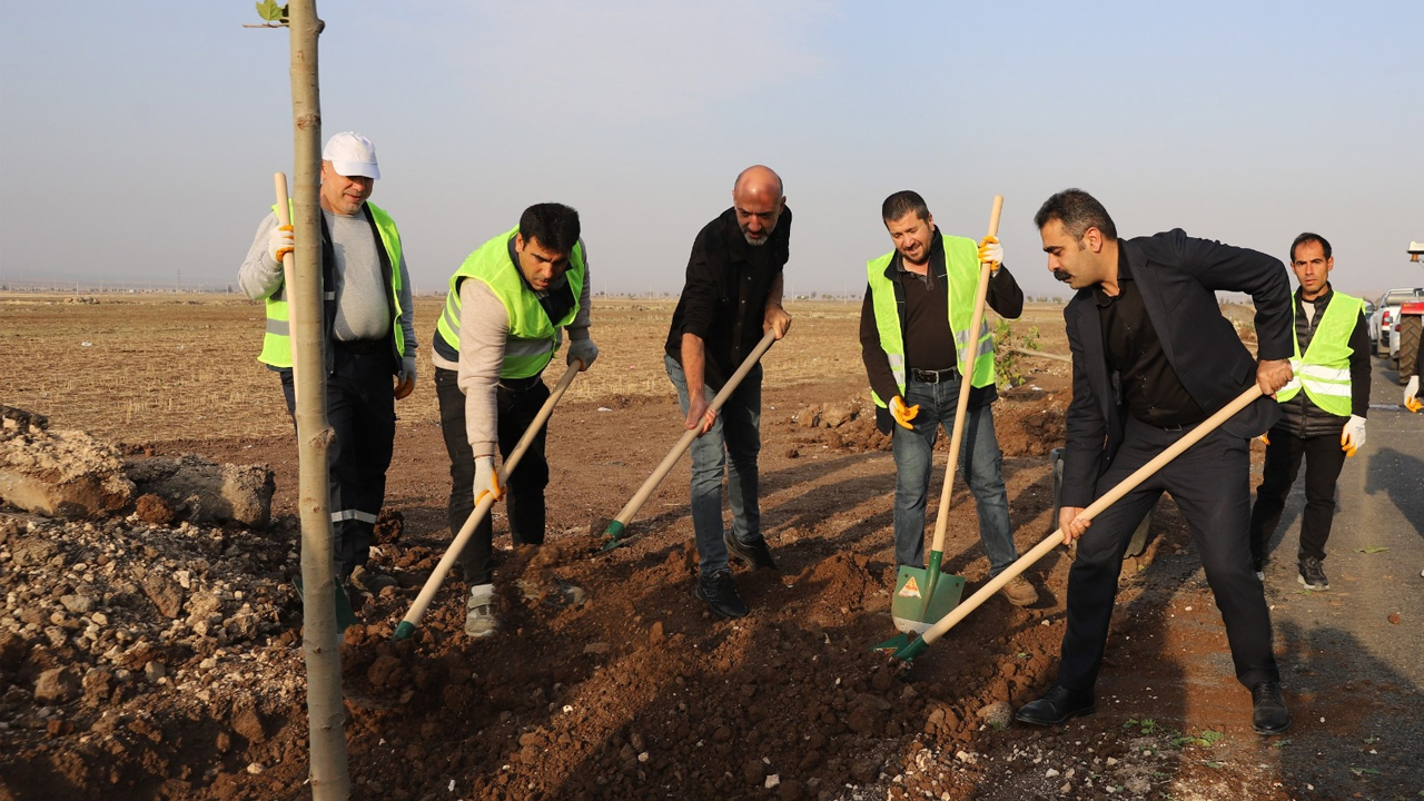 Diyarbakır’da Eşbaşkanlar Ağaç Dikti1