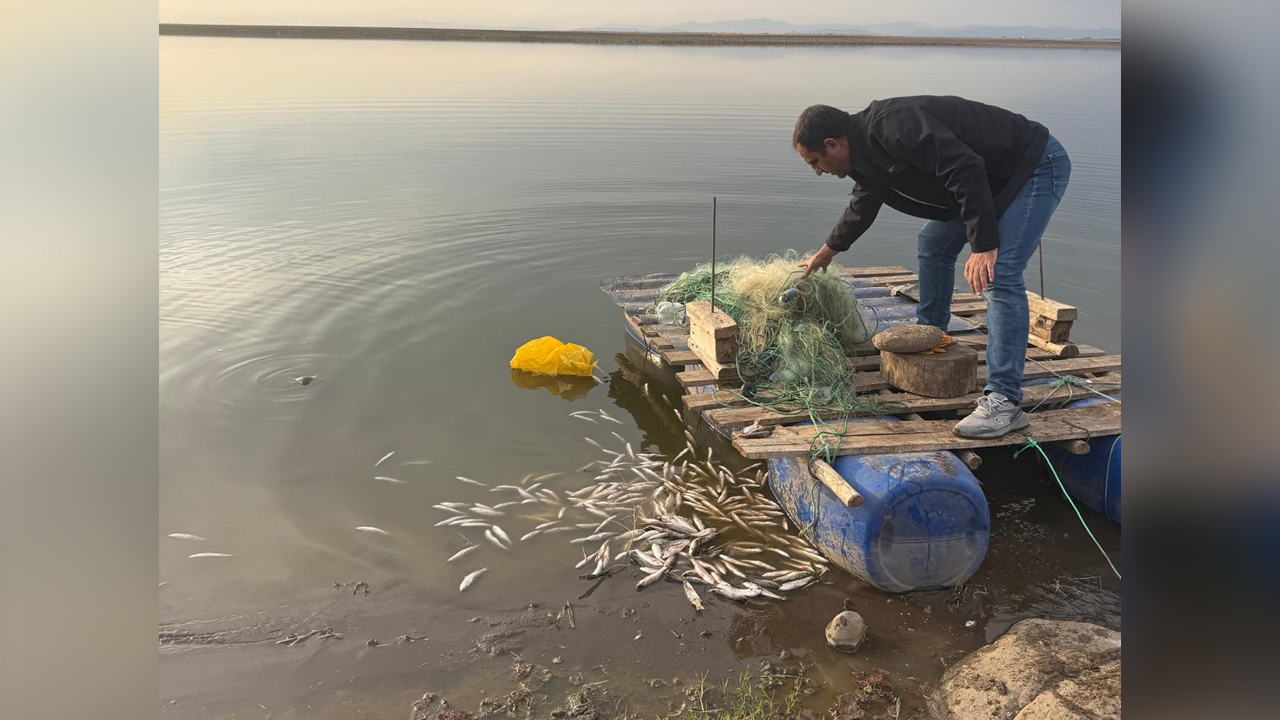 Diyarbakır'da Jandarmadan Kaçak Balık Avcılarına Baskın