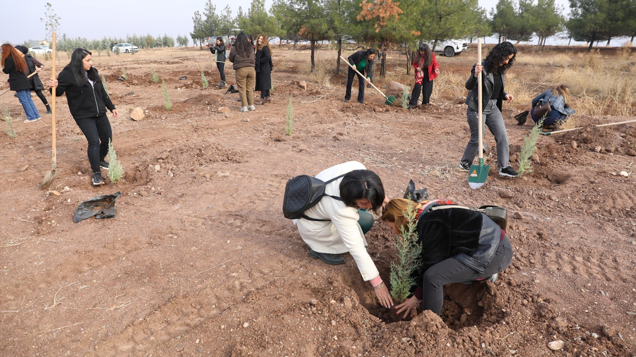 Diyarbakır'da Kadın Şiddetine Fidan Dikerek Dikkat Çektiler1