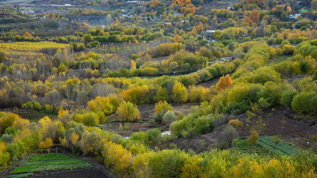 Diyarbakır’da Yetki Karmaşası Işgallere Yol Açtı, Büyükşehir Uyardı!