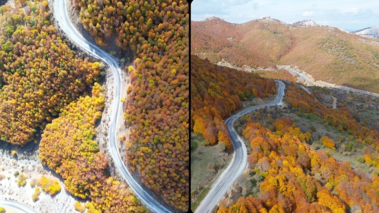 Diyarbakır'daki Andok Dağı'nda Sonbahar Renklerinin Büyüsü1